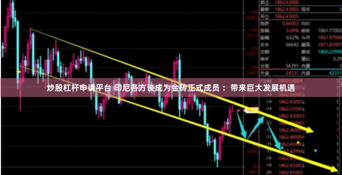 炒股杠杆申请平台 印尼各方谈成为金砖正式成员 ：带来巨大发展机遇